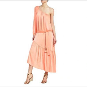 BCBGMaxAzria Keli One Shoulder Asymmetrical Maxi Womens Dress Size Small